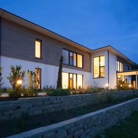 Weinvilla Vollmayer Hilzingen Ngoại thất bức ảnh